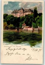 78462 W7750 Insel Mainau 1898 Lithographie sign. Biese,C. Schloss