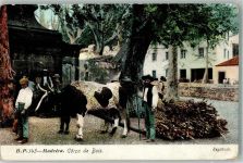 Madeira 1911 Foto AK Corca de Bois Tracht