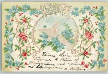 Vögel mit echt Stoff Applikation Vergissmeinnicht Taube 1903 Prägedruck