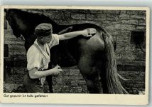 Landser bei der Pferdepflege Fotograf Heinz Schröter Kavallerie WK II 1939 Foto AK