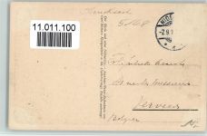52385 W5168 Nideggen - Kühe