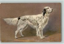 Cocker Spaniel Künstlerkarte ca 1915 AK Spaniel