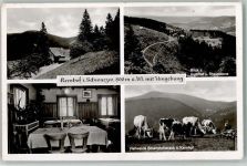 77889 W7596 Seebach , Baden - Gasthaus Pension Kernhof Innenaufnahme Gastraum Blick zum Kernhof und Rheinebene Viehweide Bosensteinereck Kühe 4-Bildaufnahme
