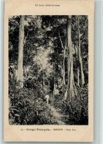 Bangui Künstlerkarte Sous bois