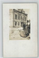 Foto AK - Pferde werden gefüttert - Pferd