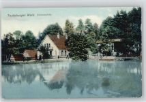 32805 W4934 Leopoldstal , Lippe - Waldgaststätte Pension Silbermühle ex Sammlung Busse