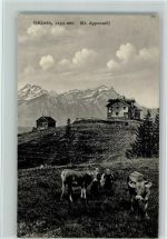 Gäbris Kuh 1913
