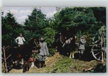 WK I - Soldaten mit ihren Pferden - Rast - Kanone mit Tannenzeigen getarnt - Soldat