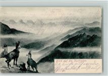 Churfirsten Blick auf Kurfirsten Gemsen Gams