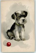 Welpe 1943 AK Terrier