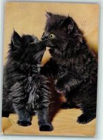 Popp FF 175 Zwei schwarze Kätzchen 1960 AK Katze