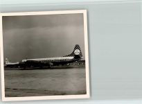 Privatfoto - Royal Dutch auf dem Flugfeld Fluglinie