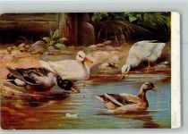 Enten am Weiher - Münchner Künstler AK Ente 1913 Künstlerkarte