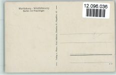 Wildschweine mit kleinen Frischlingen - Wildfütterung Jagdtier