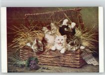 Künstler sign Leon Huber - Katzen im Korb - Katze