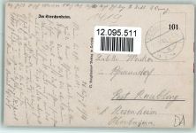 Störche - Im Storchenheim - Nester auf dem Haus 1918 AK Voigtländer Verlag Voigtländer