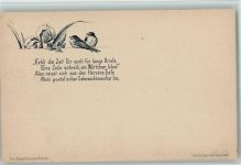 Verlag Edwin Bormann - Schwalben Postkarten 1900 AK Schwalbe