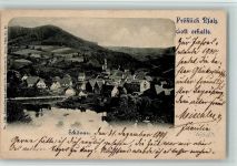 66996 W6781 Schönau (Pfalz) - Partei am See 1900 AK