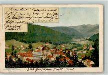 W7822 St. Blasien Elchlepp Verlag 1904 AK Münch, C. Künstlerkarte