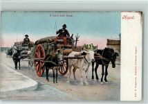 Napoli Il Carro della farina - Tiergespanne, Bauern Motiv Italien 1903