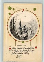 W7800 Freiburg im Breisgau Münster Pflanzen 1903 Prägedruck