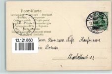 W7800 Freiburg im Breisgau Münster Pflanzen 1903 Prägedruck
