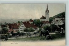 Teufen AR Kühe Kuh 1905