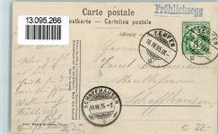 Teufen AR Kühe Kuh 1905