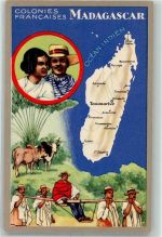 KEINE AK Volkstypen Stier Indischer Ozean Colonies Francaises
