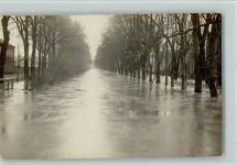 W7800 Freiburg im Breisgau Hochwasser - Hochwasser 1920 Foto AK