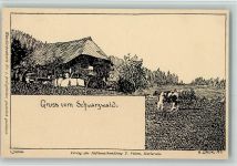 Gruss vom Schwarzwald - Künstlerkarte Nr. 7 AK Daur, H. Lithographie