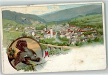 8680 Mürzzuschlag 1899 Lithographie Auerhahn