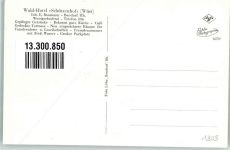 56170 W5413 Bendorf , Rhein - Wald-Hotel Schützenhof
