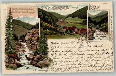 37412 W3429 Sieber 1902 Lithographie Wildbach Hirsch Hirschkuh Am stumpfen Stein Forsthaus Königshof