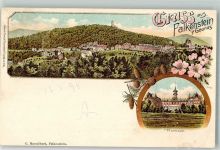 61462 W6240 Falkenstein , Taunus 1898 Lithographie Kurhaus Tannenzapfen
