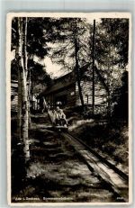 08280 O9400 Aue , Sachs Foto AK Sommerrodelbahn