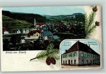 79215 W7807 Elzach 1911 - Restaurant v. Karl ERhardt, Panorama AK