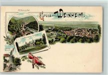 69469 W6940 Weinheim , Bergstr Lithographie Birkenauertal Gesamtansicht v. Berkheimsches Schloss Krieger-Denkmal Vögel