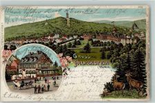 61462 W6240 Falkenstein , Taunus Gebrauchsspuren Frankfurter Hof Fahrrad Lithographie