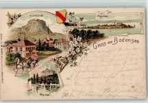 78462 W7750 Insel Mainau 1898 Lithographie Gasthaus, Kutsche, Insel AK