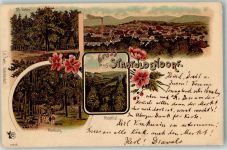 37627 W3457 Stadtoldendorf Lithographie Gruss 25 Eichen Homburg Hoopthal Fabrik Blumen Gruss