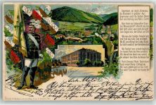 98693 O6300 Ilmenau , Thür 1902 Gebrauchsspuren Technikum Wappen Gedicht Gruss Lithographie
