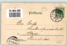 25421 W2080 Pinneberg 1898 Lithographie Bahnhof Hotel Gasthaus zur Eiche Kirche Ottmar Zieher