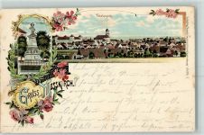 88605 W7790 Meßkirch 1901 Karte beschädigt Kreutzer-Denkmal Rosen Lithographie