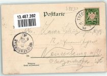 91757 W8830 Treuchtlingen 1898 Lithographie Rathaus Bahnhof Eisenbahn Schloss