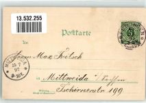 72760 W7410 Reutlingen 1897 Lithographie Klein Venedig Catharien-Kirche Obere Wilhelmsstraße Rosen
