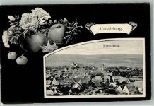 90556 W8501 Cadolzburg - Cadolzburg Äpfelzweig