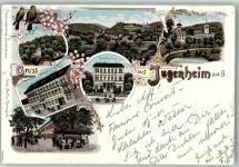 64342 W6104 Seeheim-Jugenheim 1897 Lithographie Hotel zur Krone Hotel zur Post Alexander Bad