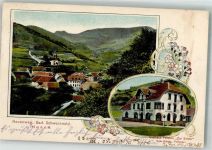 79691 W7861 Neuenweg 1908 - Gasthaus zur Sonne