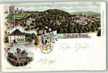 92360 W8431 Sulzbürg , Oberpf 1901 Lithographie Schloss Sulzbürg Gasthaus zur Post Letztes Siegel d. Grafen Wolfstein
